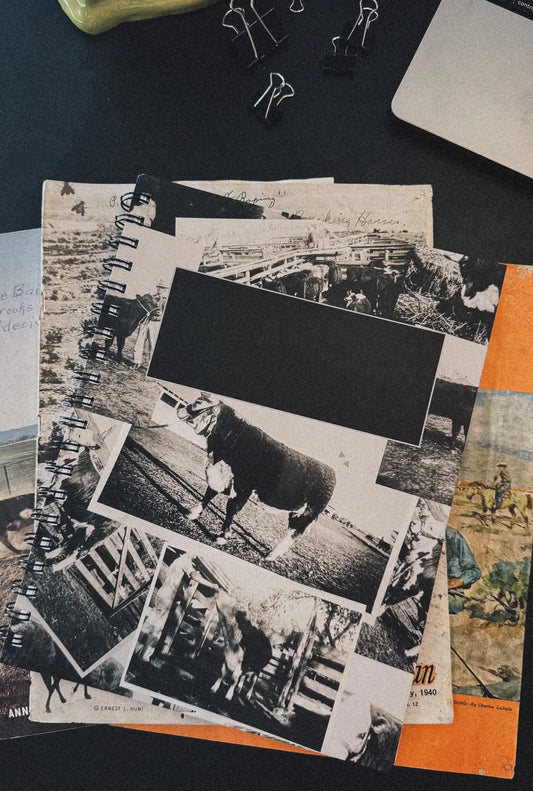 Western print notebooks