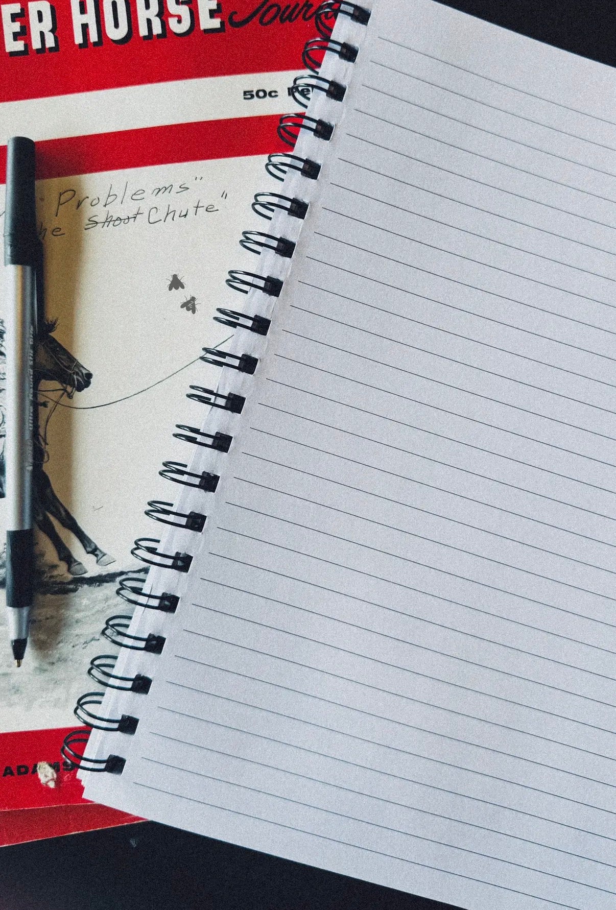 Western print notebooks